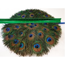 Peacock Feather Fan 1